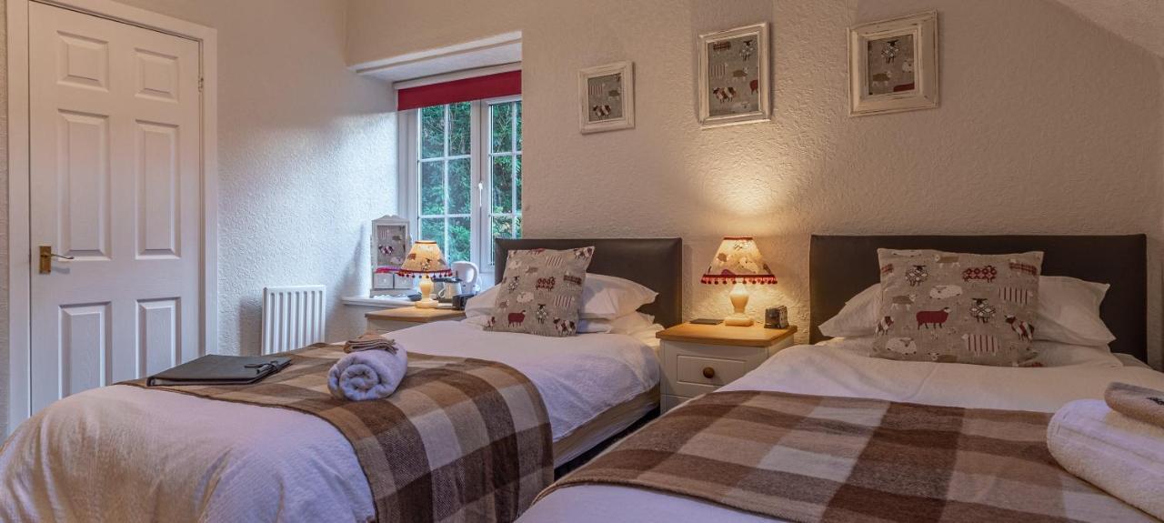 Glyntwrog House Bed & Breakfast เบเทส-อี-คอย ภายนอก รูปภาพ
