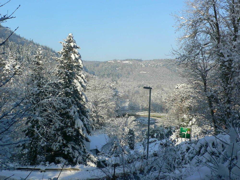 Glyntwrog House Bed & Breakfast เบเทส-อี-คอย ภายนอก รูปภาพ
